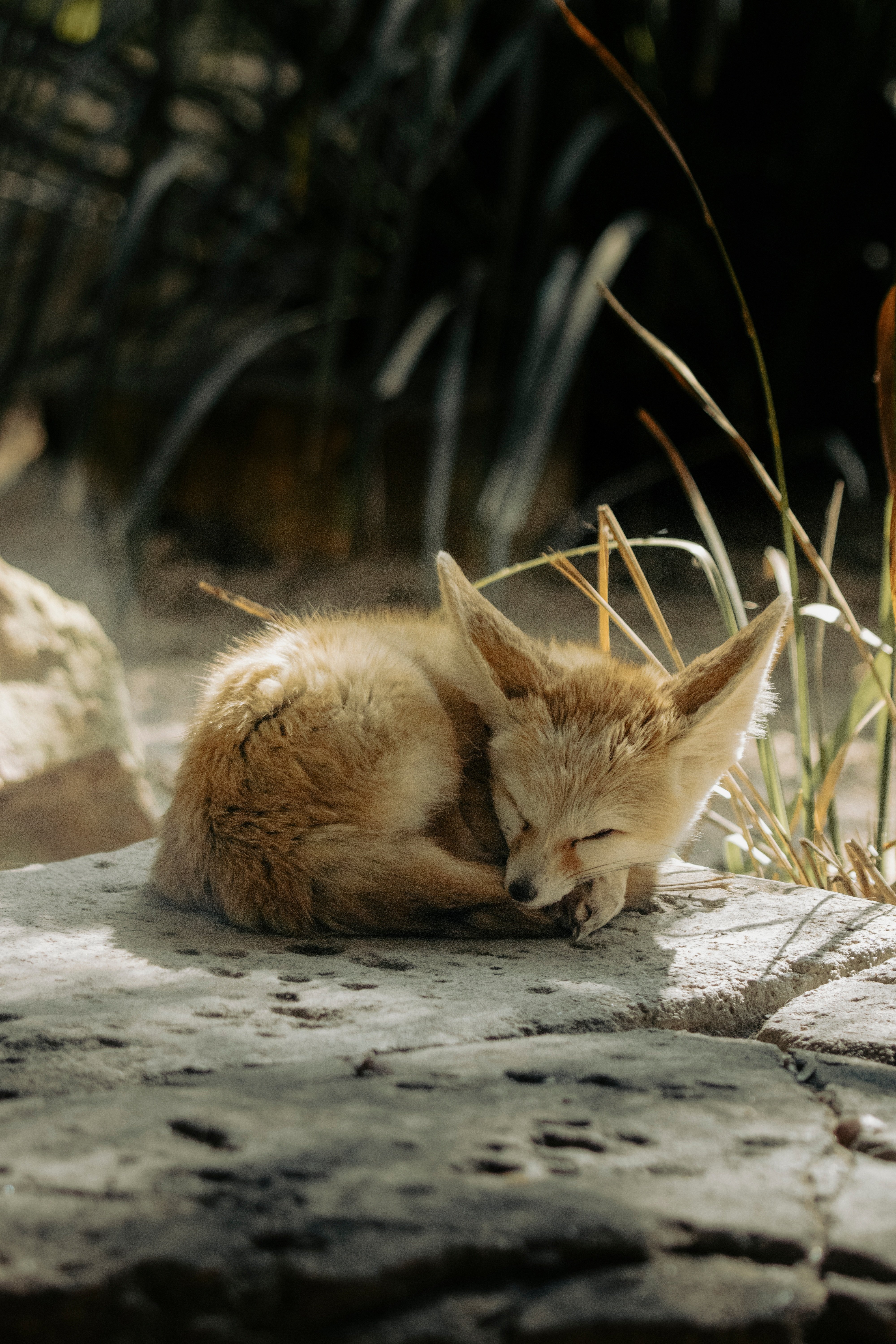 백엔드 심화 3조 팀미팅 모임 이미지
