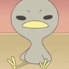 알파프로젝트 모임 이미지