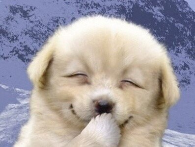 SQLD 한달 스터디 모임 이미지